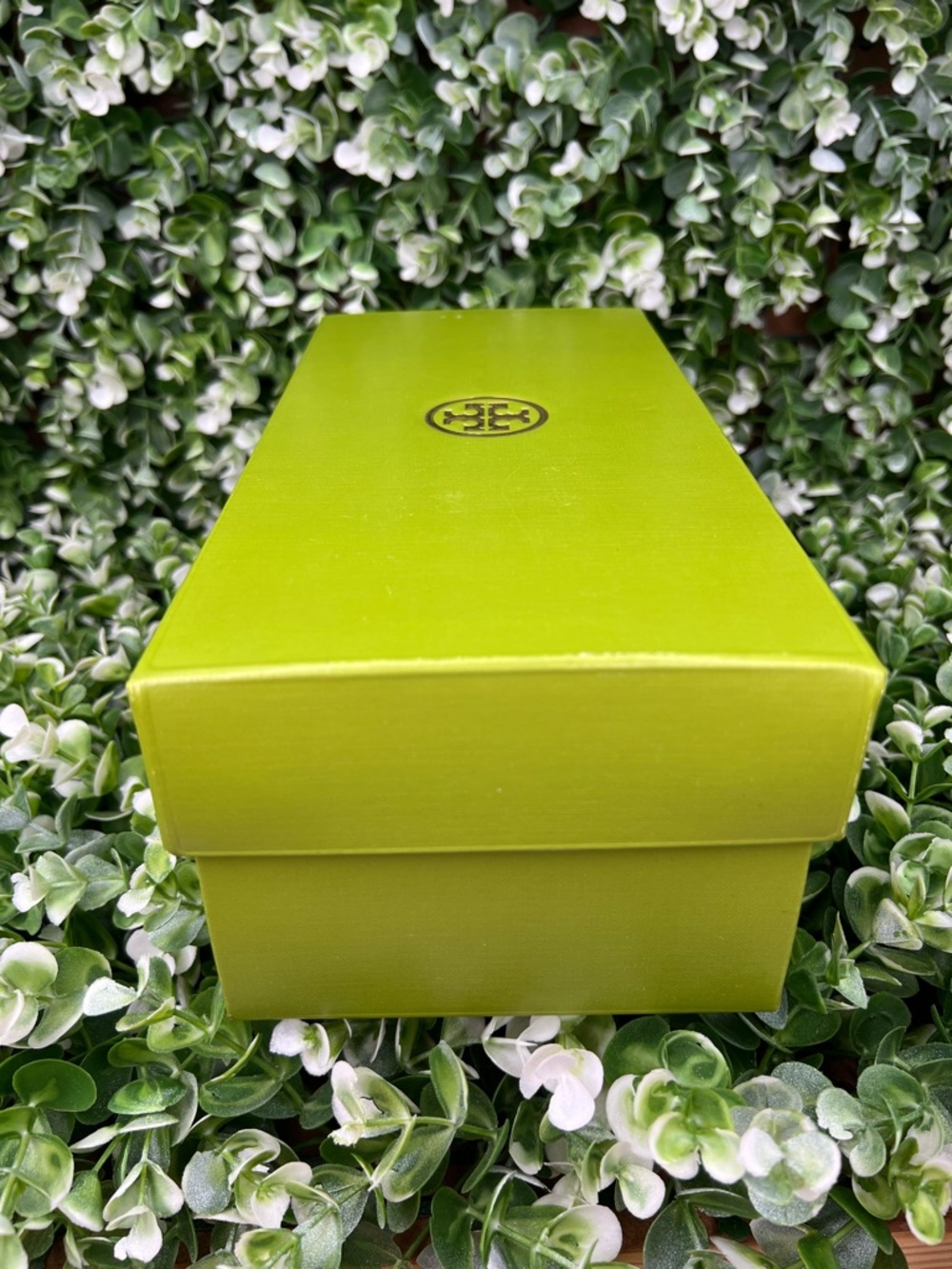 Tory Burch Green Shoe Box / Tissue Paper - Picture 5 of 12